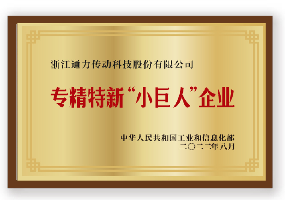 專精特新'小巨人'企業